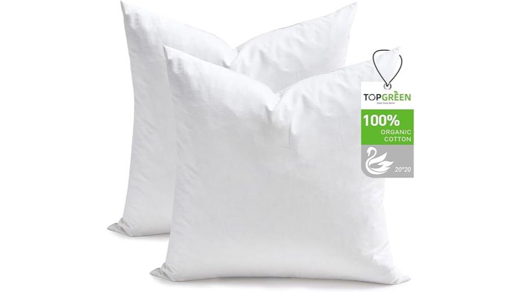 20 inch feather pillow inserts