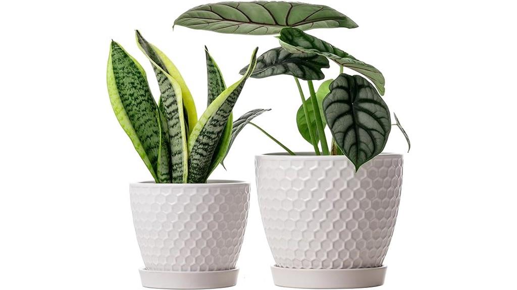 ceramic plant pot set