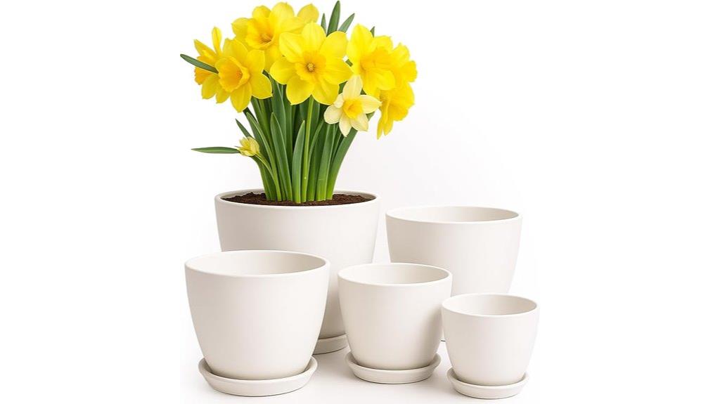 indoor plant pot set