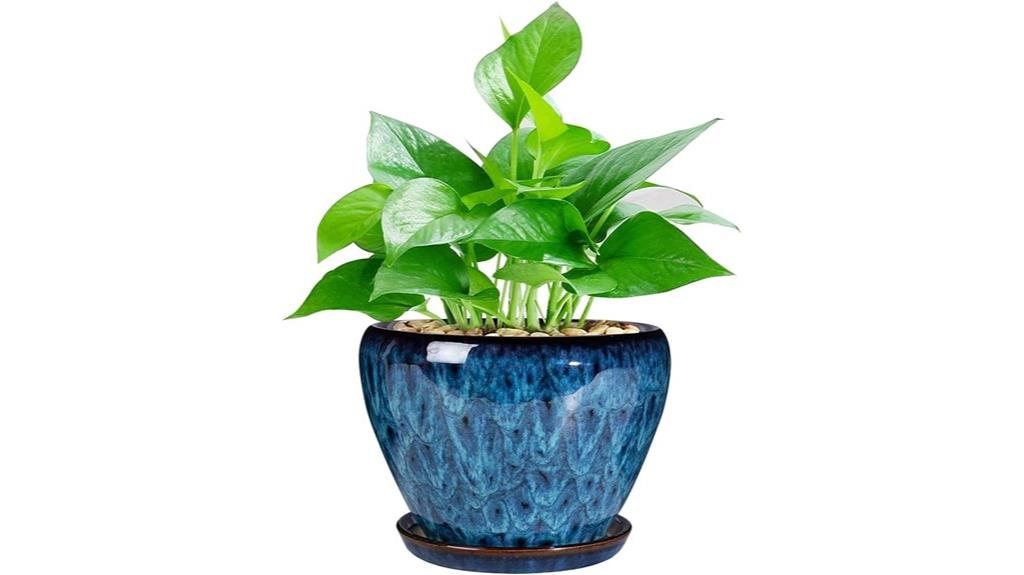 modern glazed succulent planter