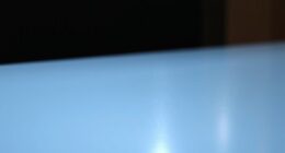 projection screen brightness gain