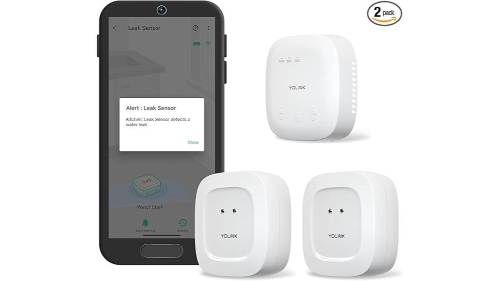 water leak detection system