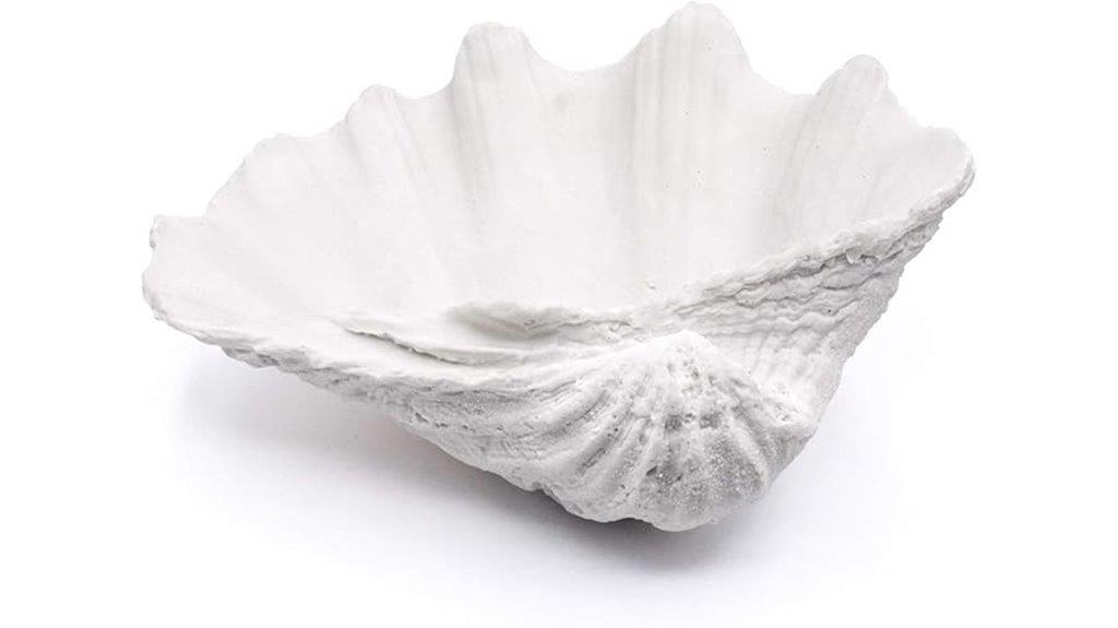 white nautical clam shell