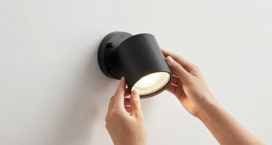 10 Best Hardwired Picture Light 36 Inch in 2026