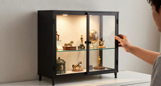 10 Best Wall Mounted Curio Cabinets With Lights in 2026