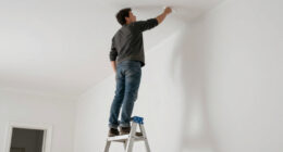 12 Best Fiberglass Platform Ladder For Painting In 2026