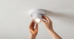 13 Best Ceiling Art Spotlights Adjustable in 2026