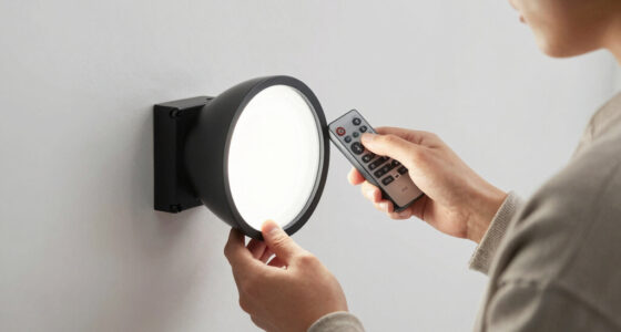 13 Best Rechargeable Picture Light With Remote in 2026