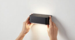 8 Best Black Picture Light Modern in 2026