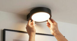 9 Best Hardwired Picture Light 24 Inch in 2026