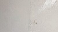 determine wall preparation needs