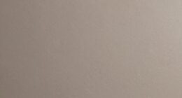 durable wall paint finish