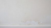 identify hidden water stains
