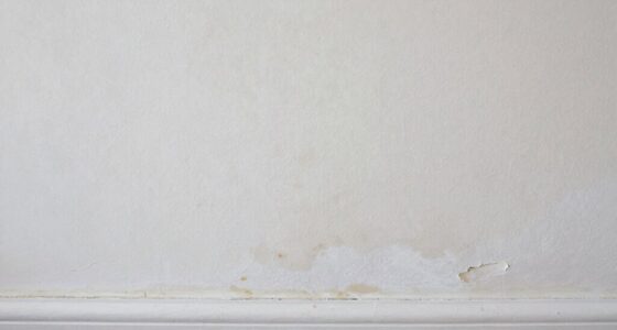 identify hidden water stains