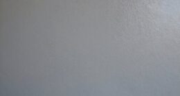 inspect paint finish quality