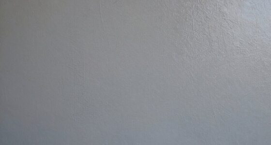 inspect paint finish quality