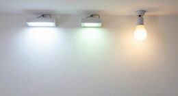 light alters paint appearance