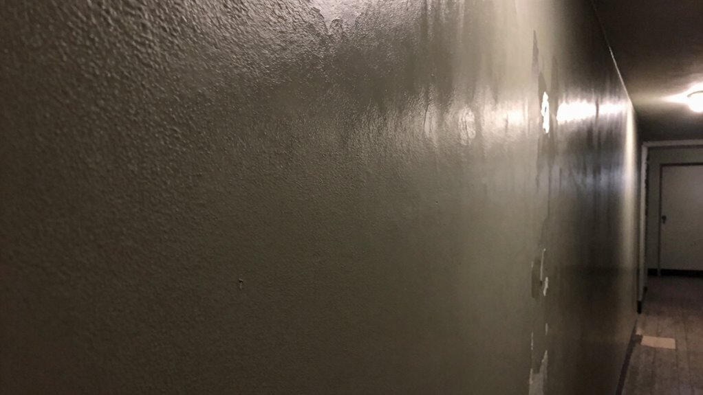 matte paint s durability issues