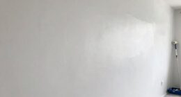 smooth large wall paint