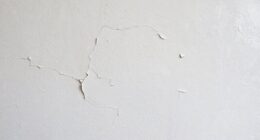 smooth wall adhesion myth