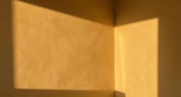 sunlit rooms may mislead