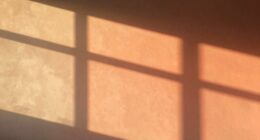 surprising afternoon wall transformation