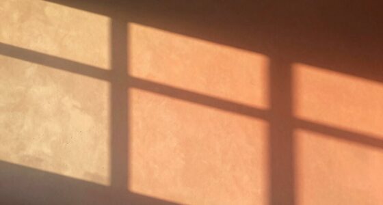 surprising afternoon wall transformation