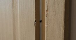 unsealed door gaps