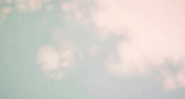 wall color appearance change