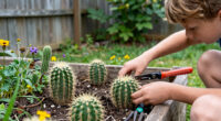 ‘Imperfections are what give us character’: a prickly garden to help teenagers blossom