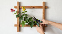 13 Best Flowering Vines in 2026