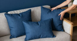 4 Best Blue Home Decor in 2026