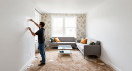A Dark And Dated Living Room Gets A Dramatic Designer Makeover