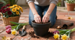 12 Best Flowers To Start Planting In Pots In October