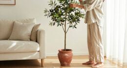 15 Best Artificial Olive Trees for Natural-Looking Decor in 2027